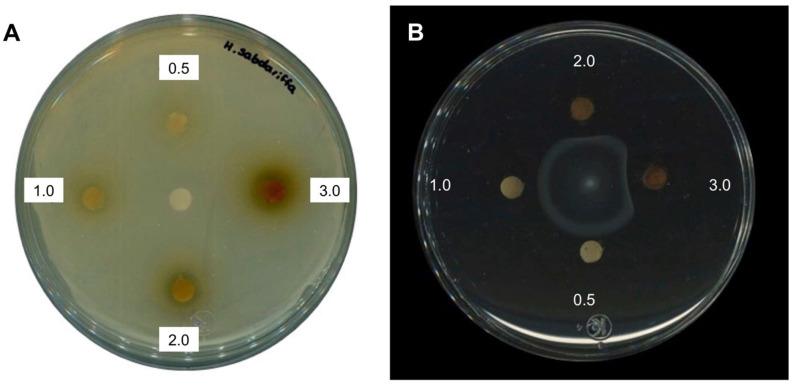 https://cdn.ncbi.nlm.nih.gov/pmc/blobs/6990/8839027/f75c2934603e/molecules-27-00655-g001.jpg