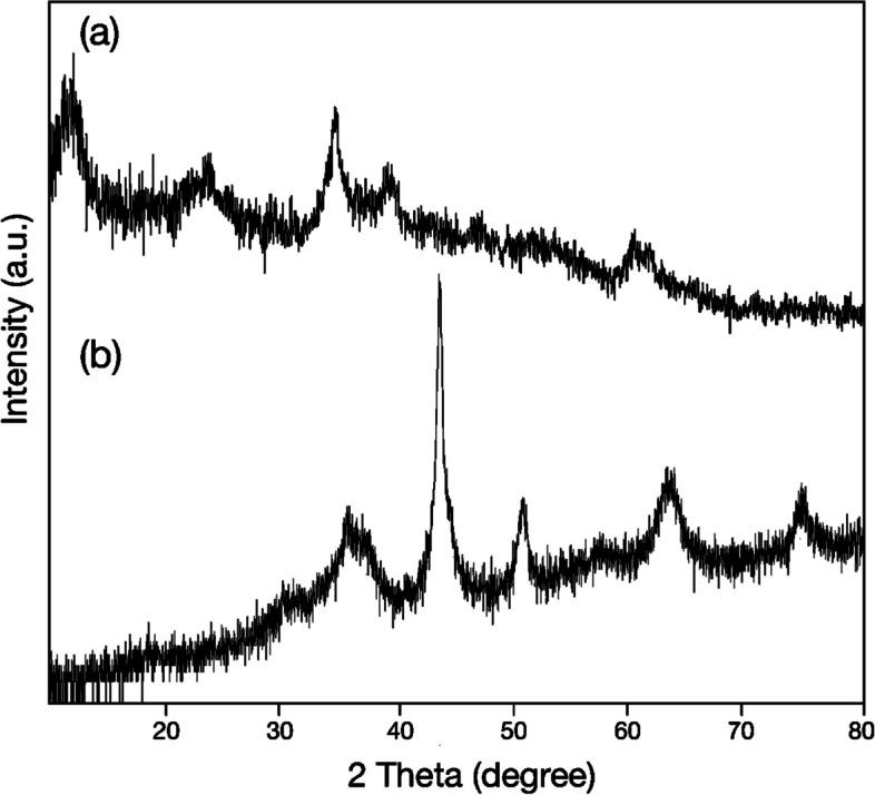 https://cdn.ncbi.nlm.nih.gov/pmc/blobs/6992/10546742/533671867dae/13036_2023_381_Fig1_HTML.jpg
