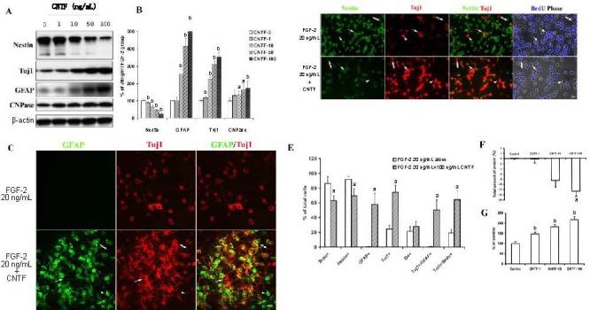 https://cdn.ncbi.nlm.nih.gov/pmc/blobs/6993/4107532/6729d3a03ed7/NRR-8-301-g002.jpg