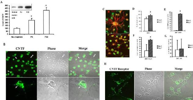 https://cdn.ncbi.nlm.nih.gov/pmc/blobs/6993/4107532/f2c27a80d1d5/NRR-8-301-g003.jpg