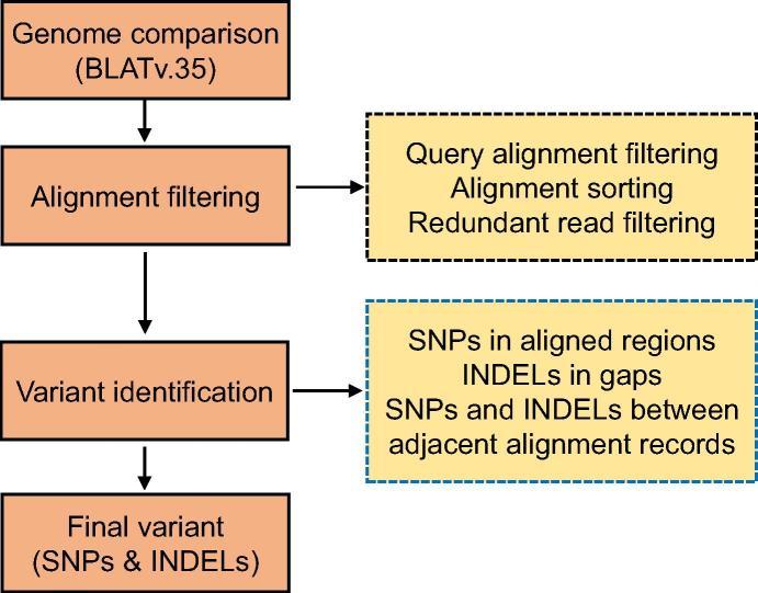 https://cdn.ncbi.nlm.nih.gov/pmc/blobs/6993/6364042/6c461ee10ab5/gr3.jpg