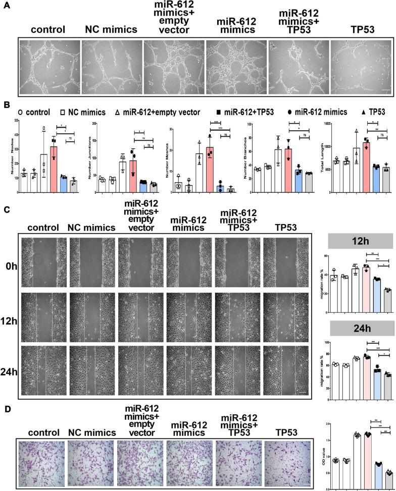 https://cdn.ncbi.nlm.nih.gov/pmc/blobs/6993/8607643/066a6259c6ed/12951_2021_1126_Fig7_HTML.jpg