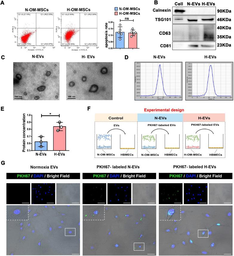 https://cdn.ncbi.nlm.nih.gov/pmc/blobs/6993/8607643/4c268d76b57f/12951_2021_1126_Fig1_HTML.jpg