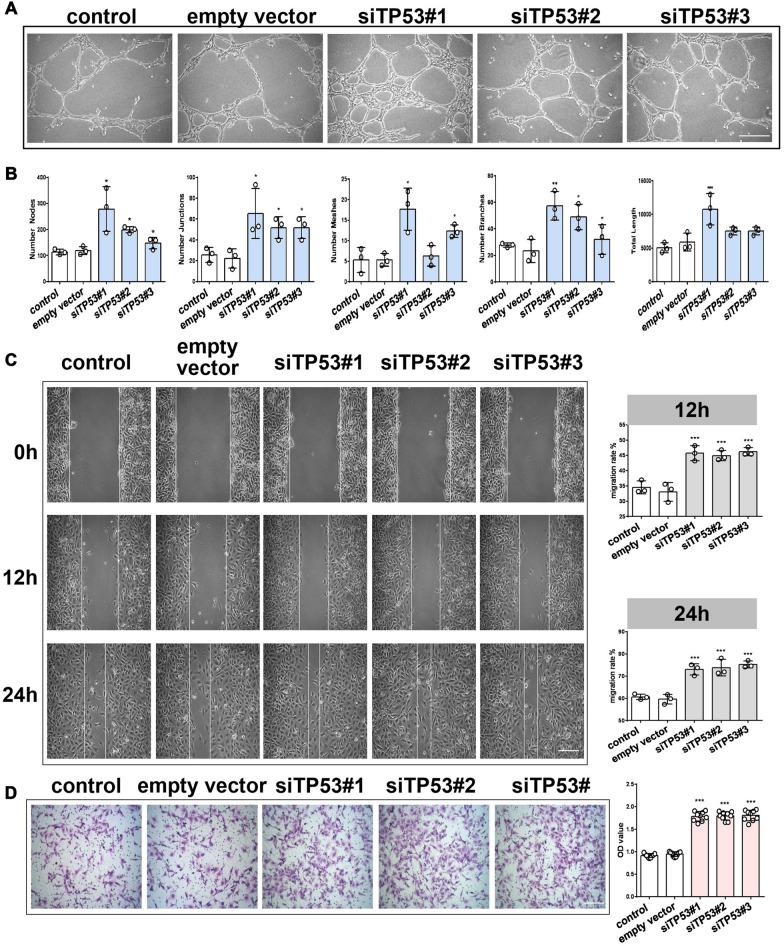 https://cdn.ncbi.nlm.nih.gov/pmc/blobs/6993/8607643/9d09e7b5440e/12951_2021_1126_Fig6_HTML.jpg