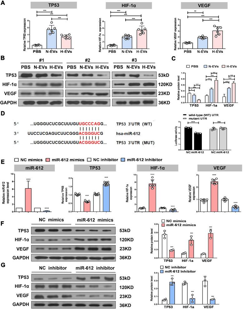 https://cdn.ncbi.nlm.nih.gov/pmc/blobs/6993/8607643/a12e1e3b2366/12951_2021_1126_Fig5_HTML.jpg