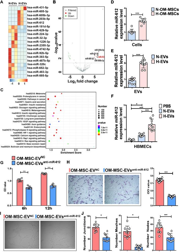 https://cdn.ncbi.nlm.nih.gov/pmc/blobs/6993/8607643/c0cdc01399fe/12951_2021_1126_Fig3_HTML.jpg
