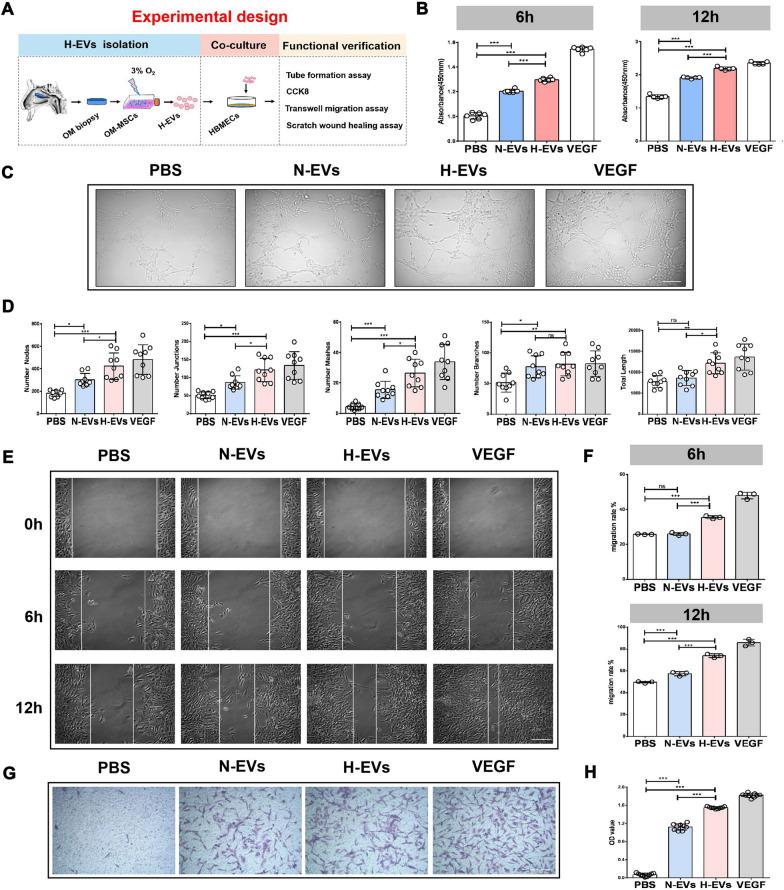 https://cdn.ncbi.nlm.nih.gov/pmc/blobs/6993/8607643/c51dfea3c467/12951_2021_1126_Fig2_HTML.jpg