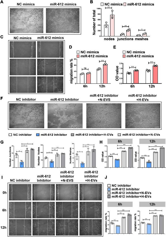 https://cdn.ncbi.nlm.nih.gov/pmc/blobs/6993/8607643/c66a01f1e7f4/12951_2021_1126_Fig4_HTML.jpg