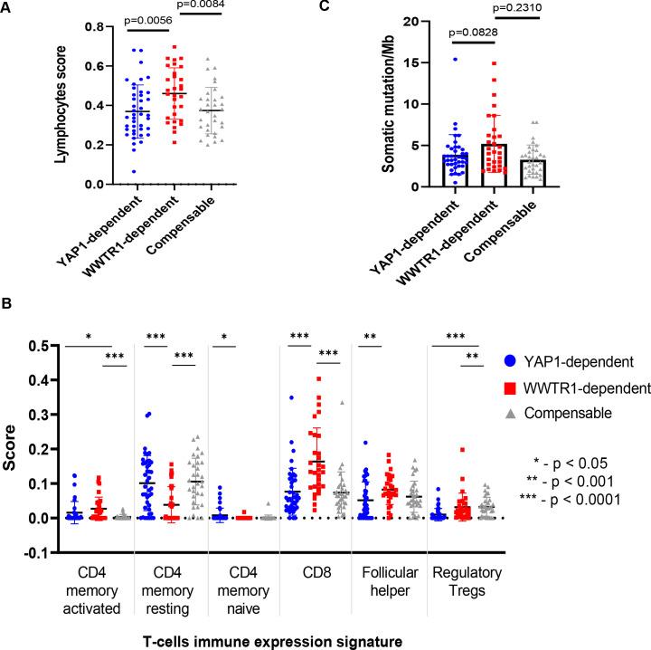 https://cdn.ncbi.nlm.nih.gov/pmc/blobs/6994/7591259/2e7e2ce33bd0/elife-57761-fig6-figsupp2.jpg