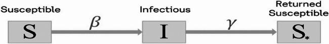 https://cdn.ncbi.nlm.nih.gov/pmc/blobs/6995/12220114/1fab6488c91f/12879_2025_11253_Fig1_HTML.jpg