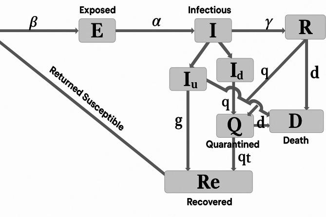 https://cdn.ncbi.nlm.nih.gov/pmc/blobs/6995/12220114/5948a553949f/12879_2025_11253_Fig3_HTML.jpg