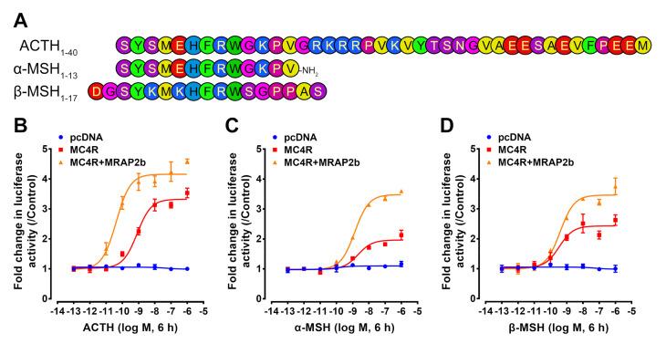 https://cdn.ncbi.nlm.nih.gov/pmc/blobs/6995/7582737/4da23462ed32/ijms-21-07036-g005.jpg