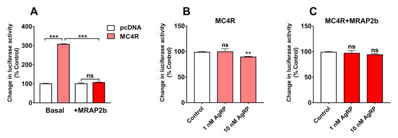 https://cdn.ncbi.nlm.nih.gov/pmc/blobs/6995/7582737/7dd4be9ebbc6/ijms-21-07036-g007.jpg