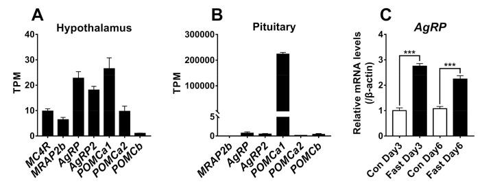 https://cdn.ncbi.nlm.nih.gov/pmc/blobs/6995/7582737/872496be294c/ijms-21-07036-g010.jpg