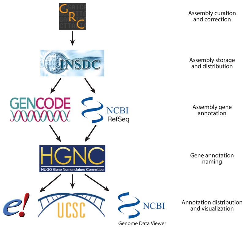 https://cdn.ncbi.nlm.nih.gov/pmc/blobs/6997/7116059/72996057be0d/EMS94521-f002.jpg