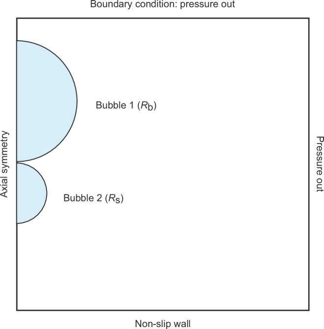 https://cdn.ncbi.nlm.nih.gov/pmc/blobs/6998/12084577/0e9454c25cbf/41467_2025_59762_Fig6_HTML.jpg