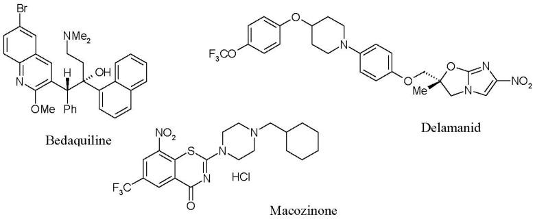 https://cdn.ncbi.nlm.nih.gov/pmc/blobs/6998/9784227/2856f1dbfb9a/microorganisms-10-02334-g001.jpg