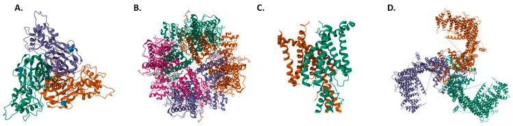https://cdn.ncbi.nlm.nih.gov/pmc/blobs/699b/10530364/59c943cf58e8/ijms-24-13710-g001.jpg