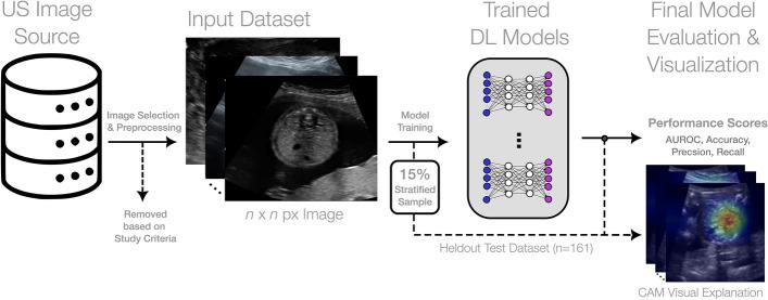 https://cdn.ncbi.nlm.nih.gov/pmc/blobs/699b/11031588/9cde34847990/41598_2024_59248_Fig1_HTML.jpg