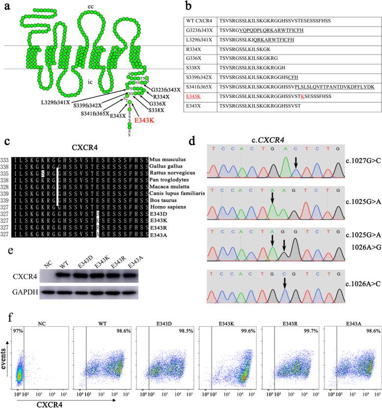 https://cdn.ncbi.nlm.nih.gov/pmc/blobs/699b/7825245/13bf77d81a19/12860_2021_347_Fig1_HTML.jpg