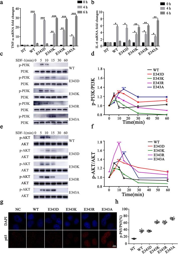 https://cdn.ncbi.nlm.nih.gov/pmc/blobs/699b/7825245/5070c37fb932/12860_2021_347_Fig4_HTML.jpg