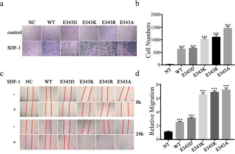 https://cdn.ncbi.nlm.nih.gov/pmc/blobs/699b/7825245/733d927d3401/12860_2021_347_Fig2_HTML.jpg