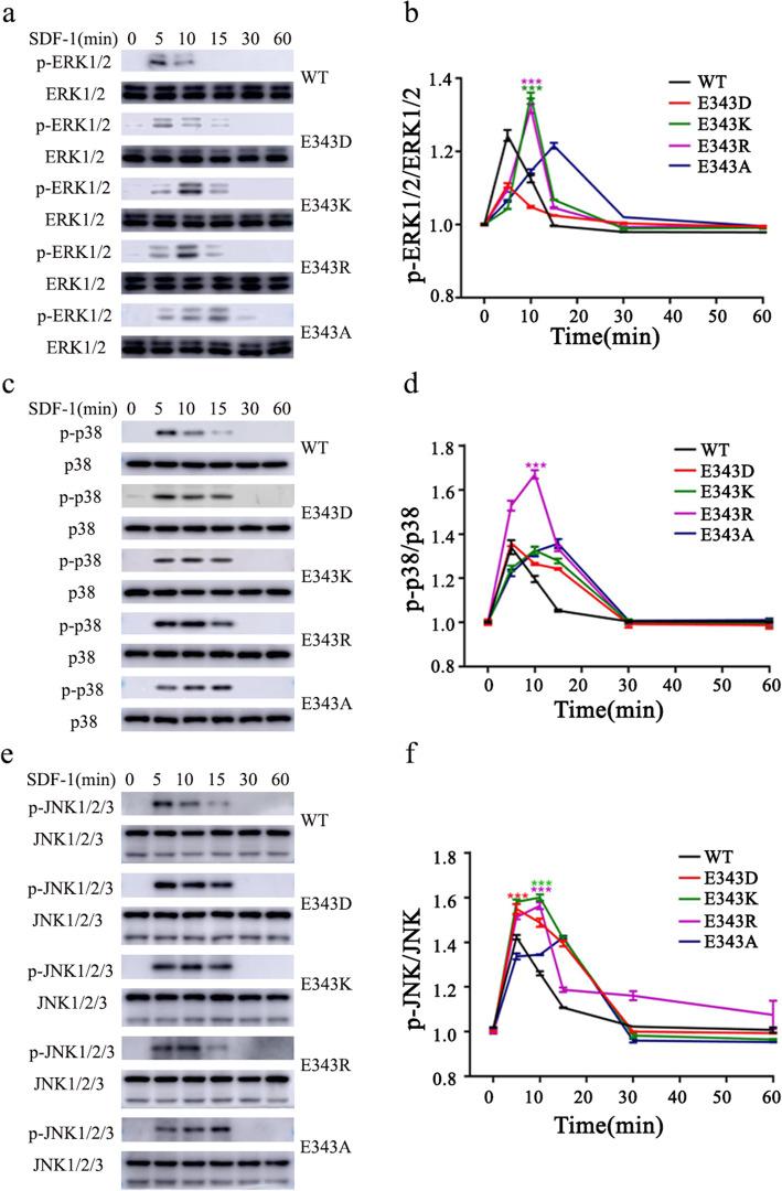 https://cdn.ncbi.nlm.nih.gov/pmc/blobs/699b/7825245/e0fd6e575114/12860_2021_347_Fig3_HTML.jpg