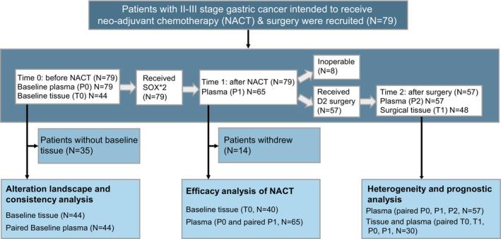 https://cdn.ncbi.nlm.nih.gov/pmc/blobs/699c/10483607/1b1c9e92243f/MOL2-17-1930-g004.jpg
