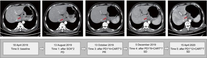 https://cdn.ncbi.nlm.nih.gov/pmc/blobs/699c/10483607/315b6f341bd5/MOL2-17-1930-g002.jpg