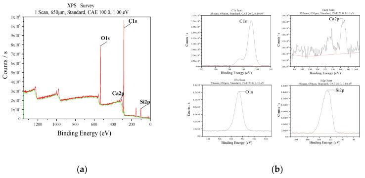 https://cdn.ncbi.nlm.nih.gov/pmc/blobs/699c/8658991/0cd38736963a/molecules-26-07180-g007.jpg