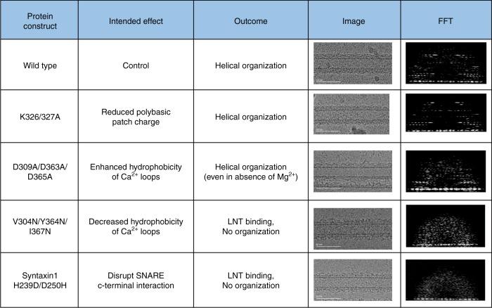 https://cdn.ncbi.nlm.nih.gov/pmc/blobs/699f/6546687/ae1b56a28084/41467_2019_10391_Fig3_HTML.jpg