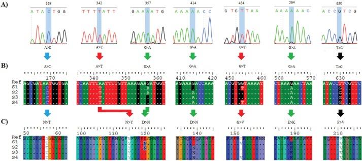 https://cdn.ncbi.nlm.nih.gov/pmc/blobs/699f/6971359/809d52e026a9/OpenVetJ-9-339-g001.jpg