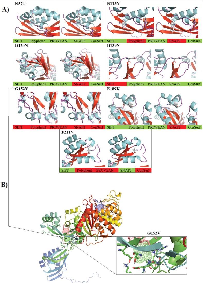 https://cdn.ncbi.nlm.nih.gov/pmc/blobs/699f/6971359/bc28cc630f0a/OpenVetJ-9-339-g003.jpg