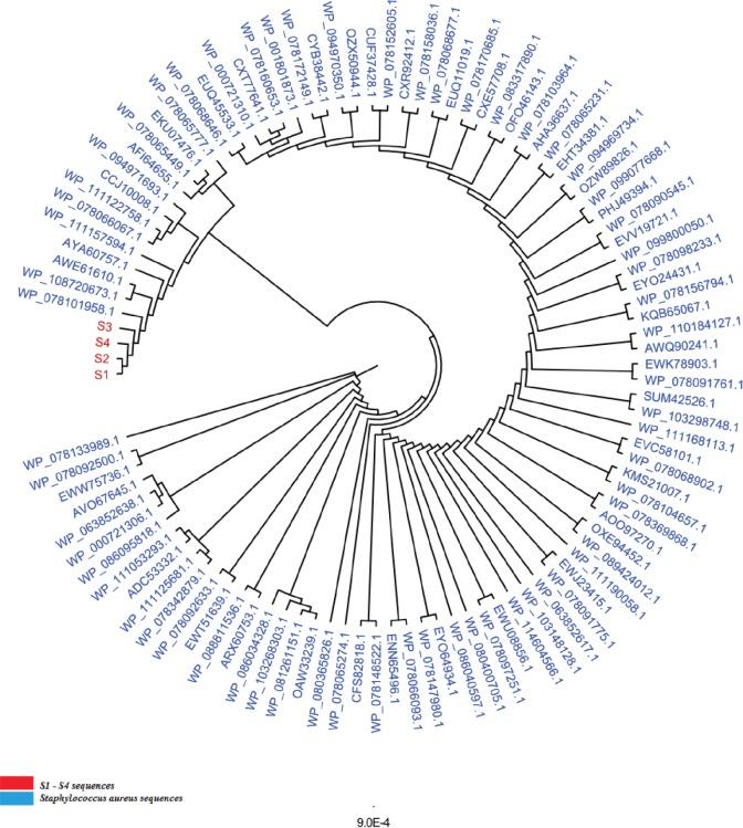 https://cdn.ncbi.nlm.nih.gov/pmc/blobs/699f/6971359/e95a120c06a9/OpenVetJ-9-339-g002.jpg