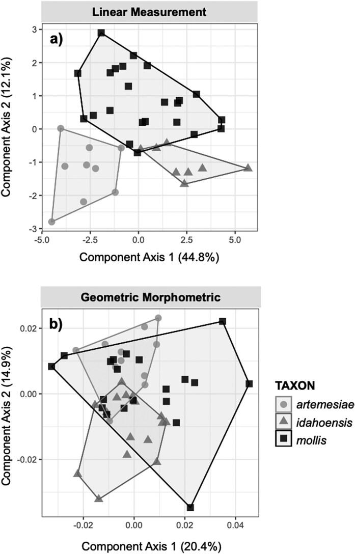 https://cdn.ncbi.nlm.nih.gov/pmc/blobs/69a0/11933283/b853c45ecfad/gyae135_fig4.jpg
