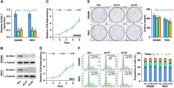 https://cdn.ncbi.nlm.nih.gov/pmc/blobs/69a2/7738833/ae5f4cec1378/jcav12p0150g003.jpg