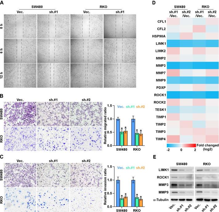 https://cdn.ncbi.nlm.nih.gov/pmc/blobs/69a2/7738833/d1bf8a404551/jcav12p0150g005.jpg