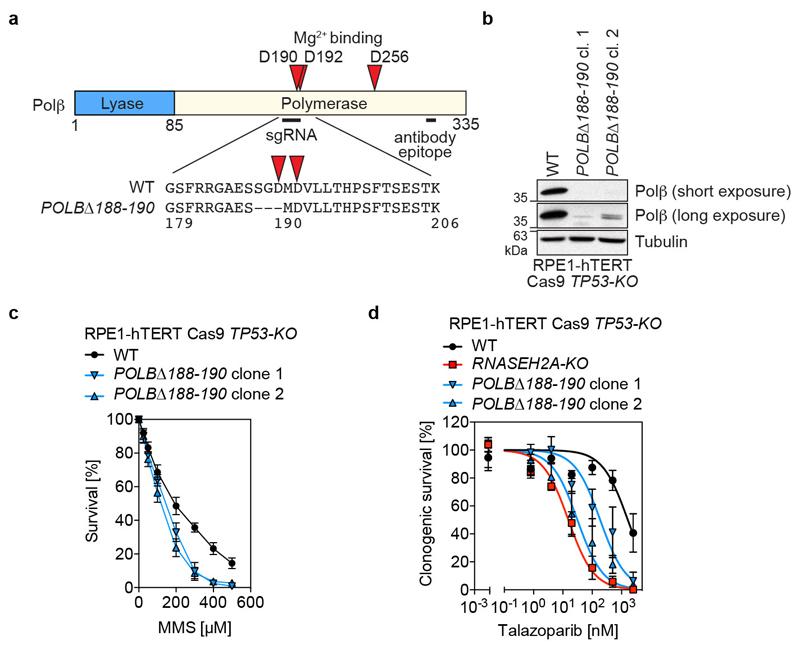 https://cdn.ncbi.nlm.nih.gov/pmc/blobs/69a4/6071917/29cf23df73df/emss-78070-f013.jpg