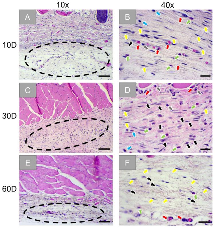 https://cdn.ncbi.nlm.nih.gov/pmc/blobs/69a6/8467533/5e6083c92532/membranes-11-00712-g005.jpg