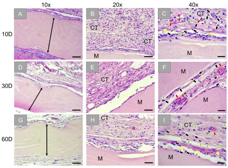 https://cdn.ncbi.nlm.nih.gov/pmc/blobs/69a6/8467533/6565e258802c/membranes-11-00712-g002.jpg