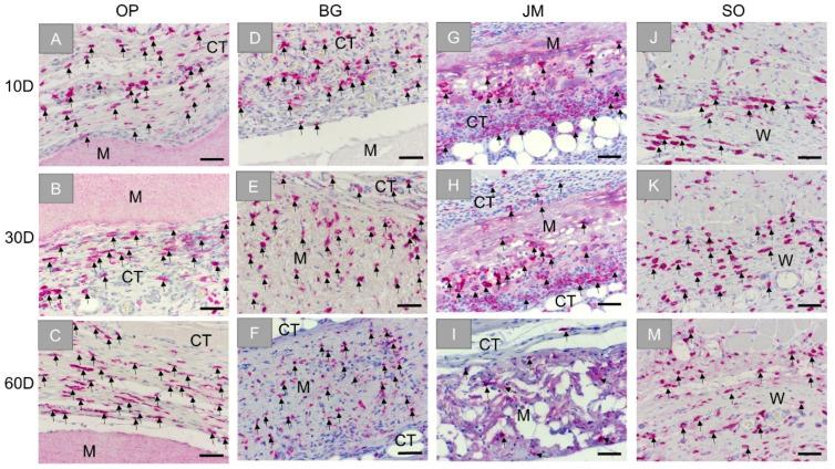 https://cdn.ncbi.nlm.nih.gov/pmc/blobs/69a6/8467533/7b05c1ace10f/membranes-11-00712-g006.jpg