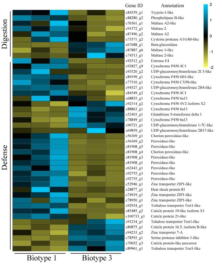 https://cdn.ncbi.nlm.nih.gov/pmc/blobs/69a7/7074007/8e423f504ec7/insects-11-00090-g006.jpg