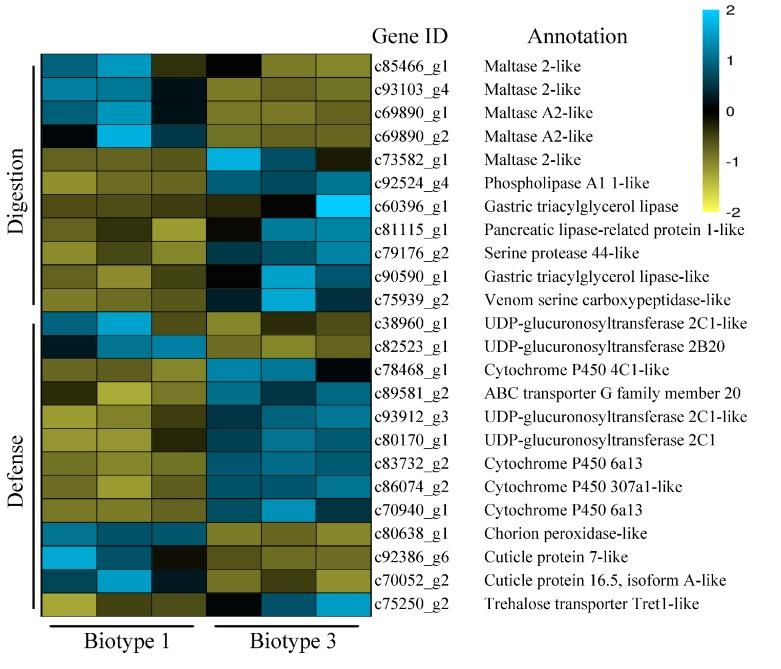 https://cdn.ncbi.nlm.nih.gov/pmc/blobs/69a7/7074007/a2bbd51cb034/insects-11-00090-g007.jpg