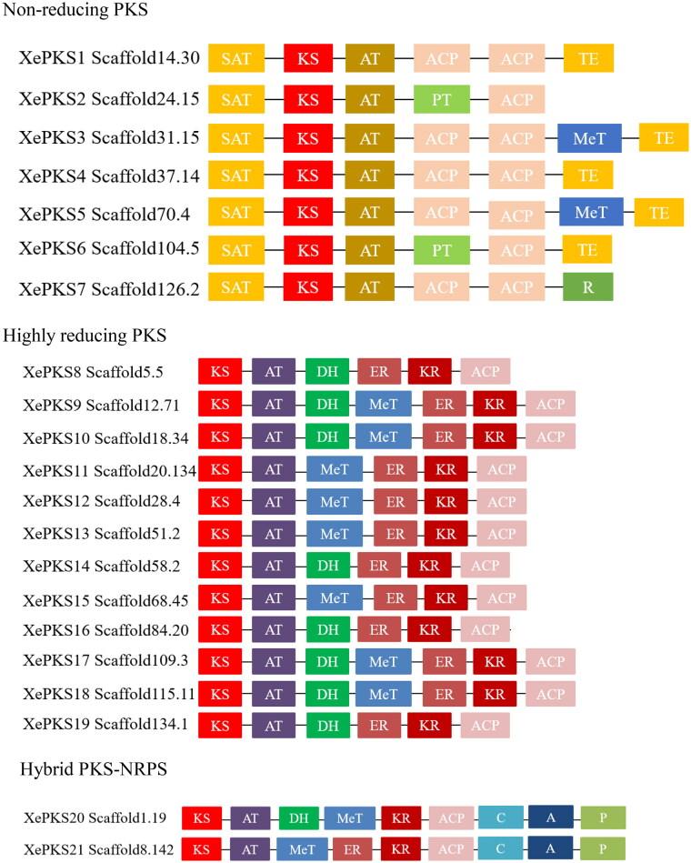 https://cdn.ncbi.nlm.nih.gov/pmc/blobs/69a8/9946308/d6a678a130b8/TMYB_A_2175428_F0002_C.jpg