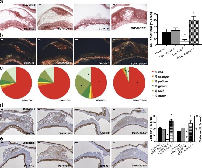 https://cdn.ncbi.nlm.nih.gov/pmc/blobs/69a9/2822598/2043c6d50efa/JEM_20091293_RGB_Fig6.jpg