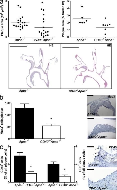 https://cdn.ncbi.nlm.nih.gov/pmc/blobs/69a9/2822598/471ffea70f88/JEM_20091293_RGB_Fig1.jpg
