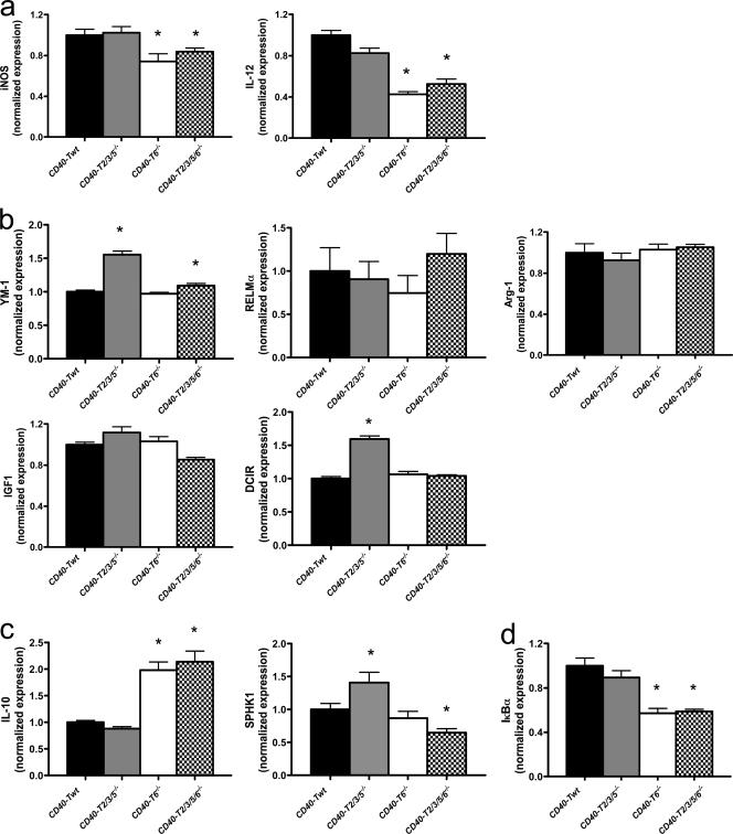 https://cdn.ncbi.nlm.nih.gov/pmc/blobs/69a9/2822598/6324dbfd1da4/JEM_20091293_GS_Fig8.jpg