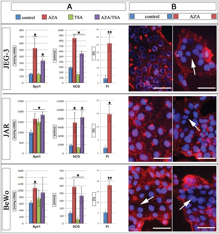 https://cdn.ncbi.nlm.nih.gov/pmc/blobs/69a9/3573012/b9660abbe7f1/pone.0056145.g002.jpg