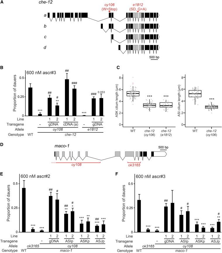 https://cdn.ncbi.nlm.nih.gov/pmc/blobs/69a9/4856098/986830ff5dbb/1475f3.jpg