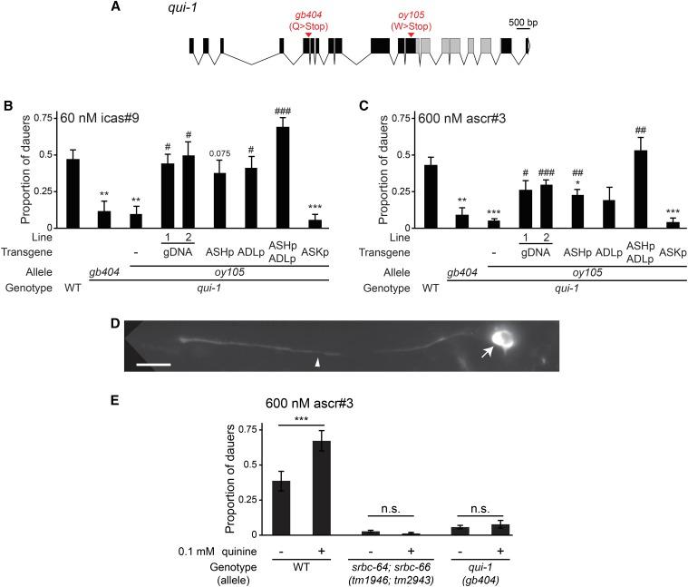 https://cdn.ncbi.nlm.nih.gov/pmc/blobs/69a9/4856098/febe9275c3df/1475f4.jpg